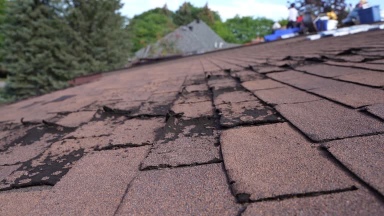 Best Storm Damage Roof Repair  in Twain Harte, CA