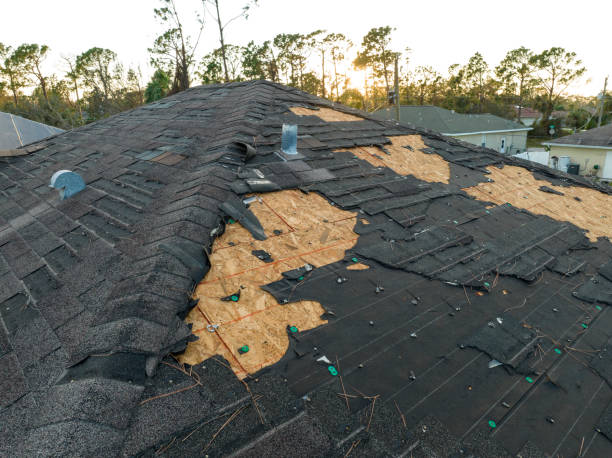 Best Gutter Installation and Repair  in Twain Harte, CA