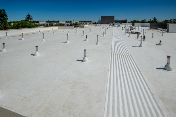 Best Solar Panel Roofing Installation  in Twain Harte, CA